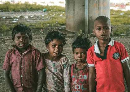 Festival Celebrations